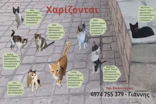 ΧΑΡΙΖΟΝΤΑΙ