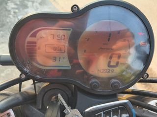 Benelli LEONCINO 2019 500