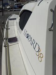 Leopard 2010 38-thumb-9