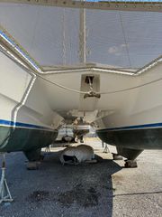 Leopard 2010 38-thumb-24