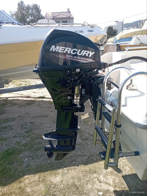 Mercury 2017 F20ELPT