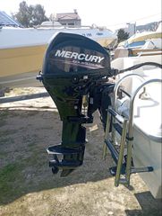 Mercury 2017 F20ELPT