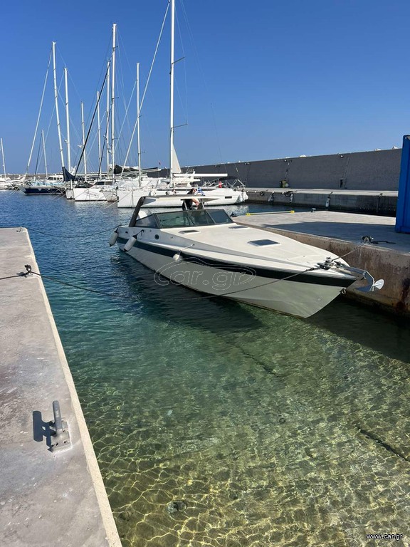Cigala & Bertinetti 1989 Shark 43