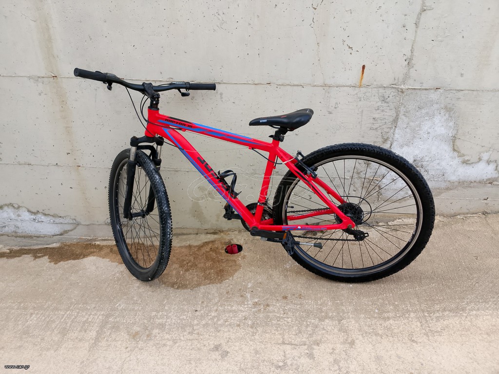 All - Mountain Orient 2024 RAPTOR