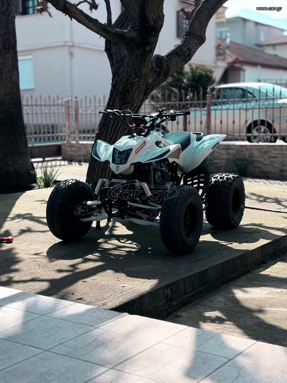 Bashan BS 200 2008 Bs-7