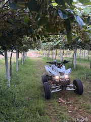 Bashan BS 200 2008 Bs-7-thumb-13