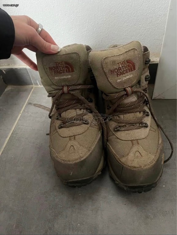 The north face