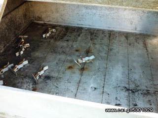 PIAGGIO DIESEL 1.4-thumb-8