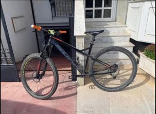 All - Mountain Sunn 2023 Custom