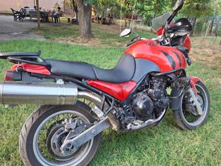 Triumph tiger 955i