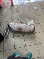 Κάθαρμα και γνήσιο-thumb-1