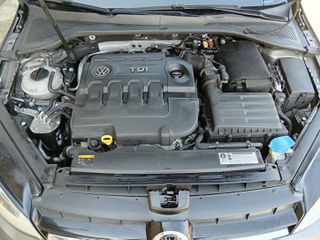 Volkswagen Golf 2014 1.6 TDI CUP BLUEMOTION EURO 6-thumb-33