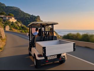 Club Car 2026 LVTONG A827.4H ΜΕ ΠΙΝΑΚΙΔΕΣ-thumb-3