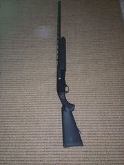 Winchester SX2