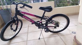All - Mountain Orient 2023 Snake