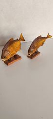 Piranha ζευγάρι Αμαζονίου