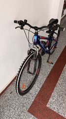 All - Mountain Cross 2022 Speedster-thumb-2