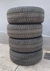 Χειμερινά ελαστικά WinterX TW401 215/55R17 98V