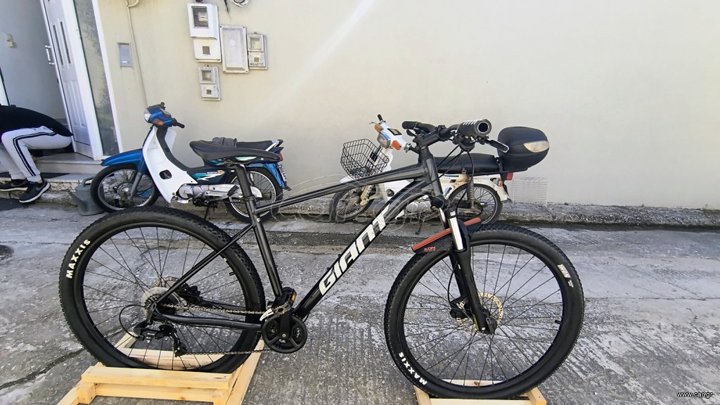 All - Mountain Giant 2023 talon 3 GE