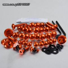ΒΙΔΕΣ ΦΑΙΡΙΝΓΚ ΣΕΤ TRIUMPH DAYTONA 675-thumb-3