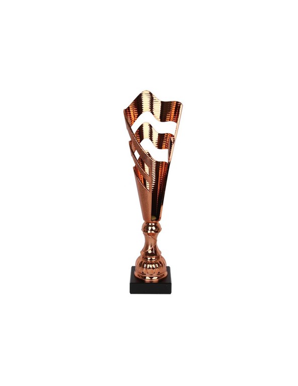 Triumph Cup