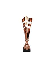 Triumph Cup