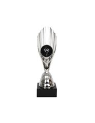 The Triumph Cup W1864