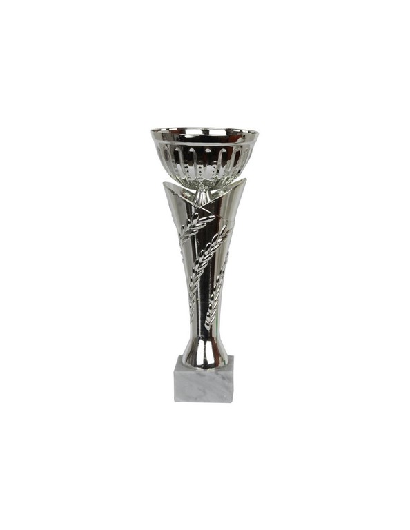 The Triumph Cup W1751