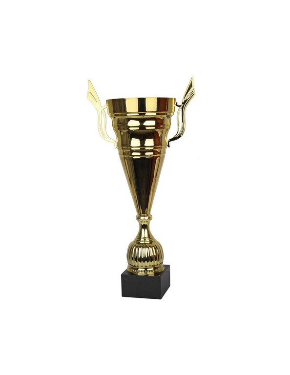 Triumph Cup W1981