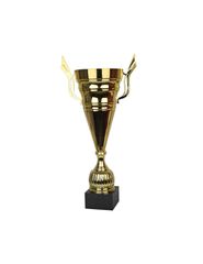 Triumph Cup W1981