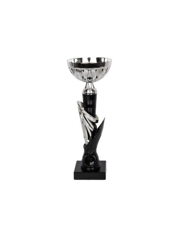 Triumph Cup W1992