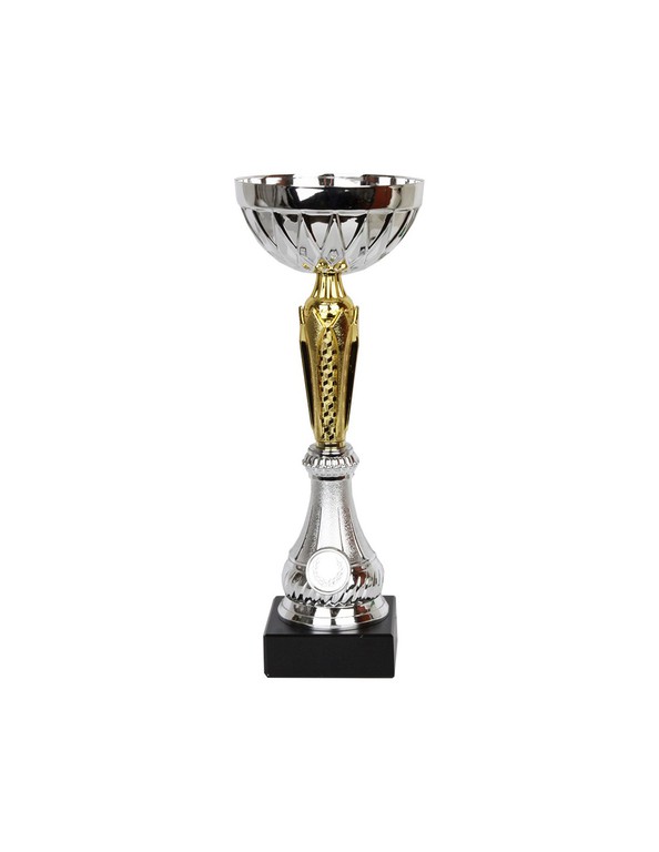 W2066 Triumph Cup