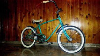 Fat Bikes Raleigh 1955 Mini Cruiser