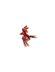 LEGO CREATOR 3in1 31161 Medieval Dragon-thumb-6