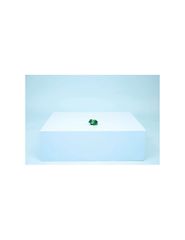 LEGO Creator 31377 Turtle with Lily Pad-thumb-10