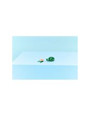 LEGO Creator 31377 Turtle with Lily Pad-thumb-8
