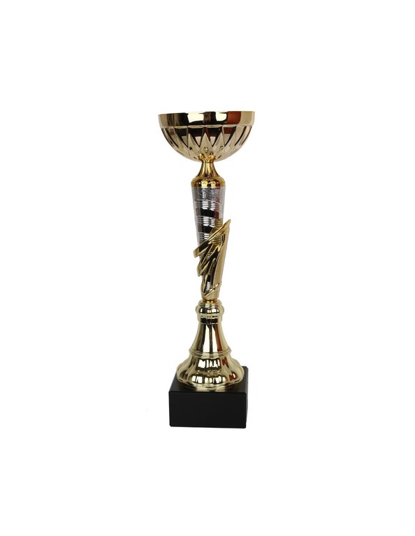 Tryumf Cup W1991