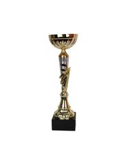 Tryumf Cup W1991
