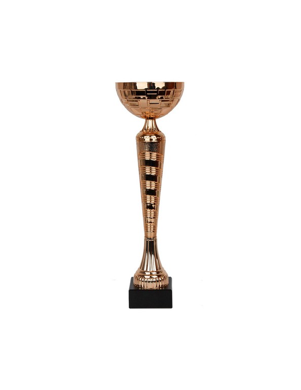 W2079 Triumph Cup