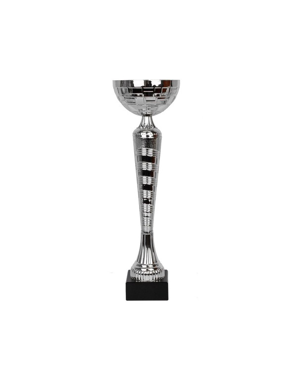 W2079 Triumph Cup