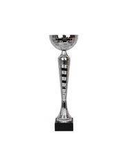 W2079 Triumph Cup
