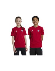 adidas FC Bayern Munich Kids' Tshirt Red IT4138