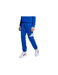 adidas Essentials 280 Blue Kids' Pants JV9916