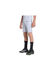 adidas Tiro 26 League Training Kids Shorts Gray JY7149