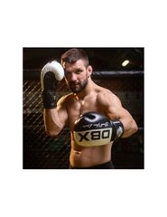 10oz Boxing Gloves Harmony Valor Series-thumb-16