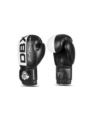 10oz Boxing Gloves Harmony Valor Series-thumb-3