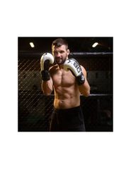 10oz Boxing Gloves Harmony Valor Series-thumb-1