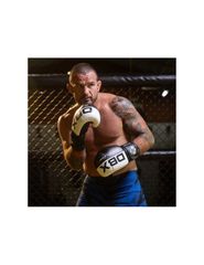 10oz Boxing Gloves Harmony Valor Series-thumb-2