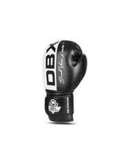 10oz Boxing Gloves Harmony Valor Series-thumb-4
