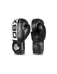 10oz Boxing Gloves Harmony Valor Series
